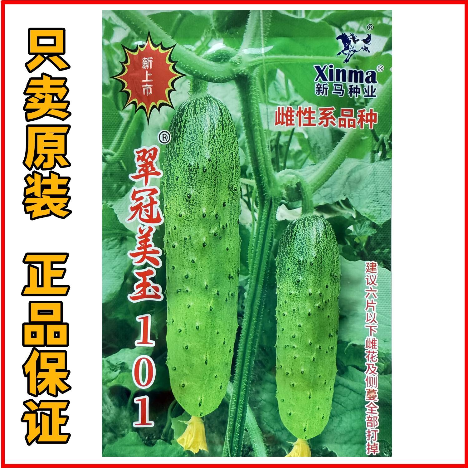新马翠冠美玉101水果黄瓜种子早熟高产抗病口感脆嫩多汁