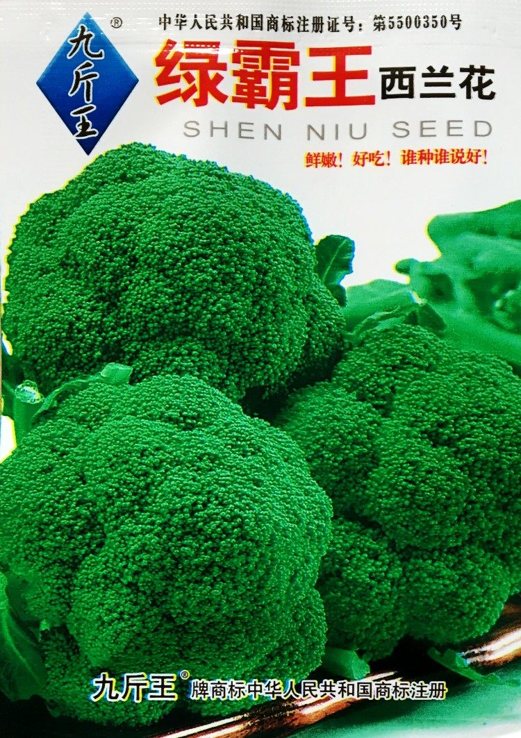 精选西兰花种子 花椰菜秋季耐寒蔬菜绿霸王菜籽四季播高产早熟