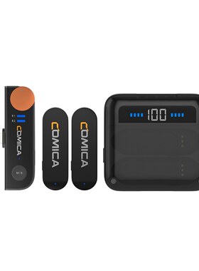 Wireless Microphone System with 1 Receiver and 2 Microphones