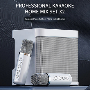 Dual Microphone Karaoke Machine Bluetooth Speaker