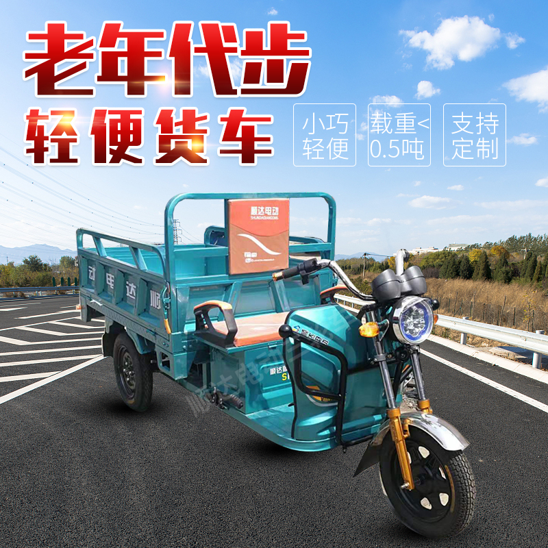 电动三轮车货车载重王成人新款农用电瓶车快递车货运三轮车家用车