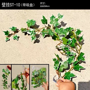 爬虫箱仿真树藤树枝蜥蜴攀爬造景壁挂绿鬣巨人睫角守宫假植物藤蔓