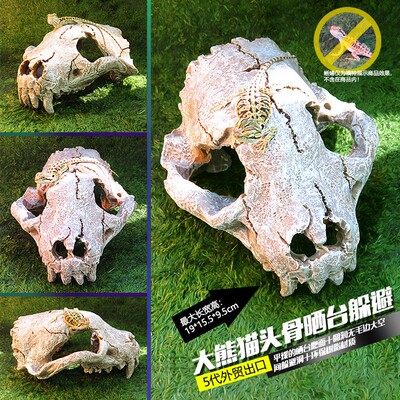 仿真恐龙头骨宠物蜥蜴爬虫屋