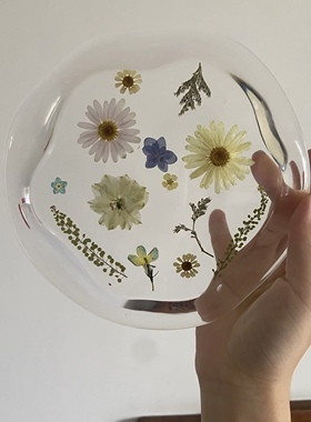 干花压花杯垫盘子摆台模具