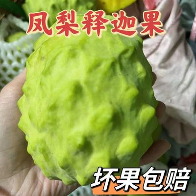 潮汕果农自销广东林檎番荔枝牛奶凤梨释迦果佛头果当季新鲜水果5