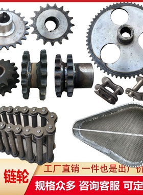 抛丸机配件提升辊道链轮双齿轮12A16A6分一寸3263210自转加宽链条