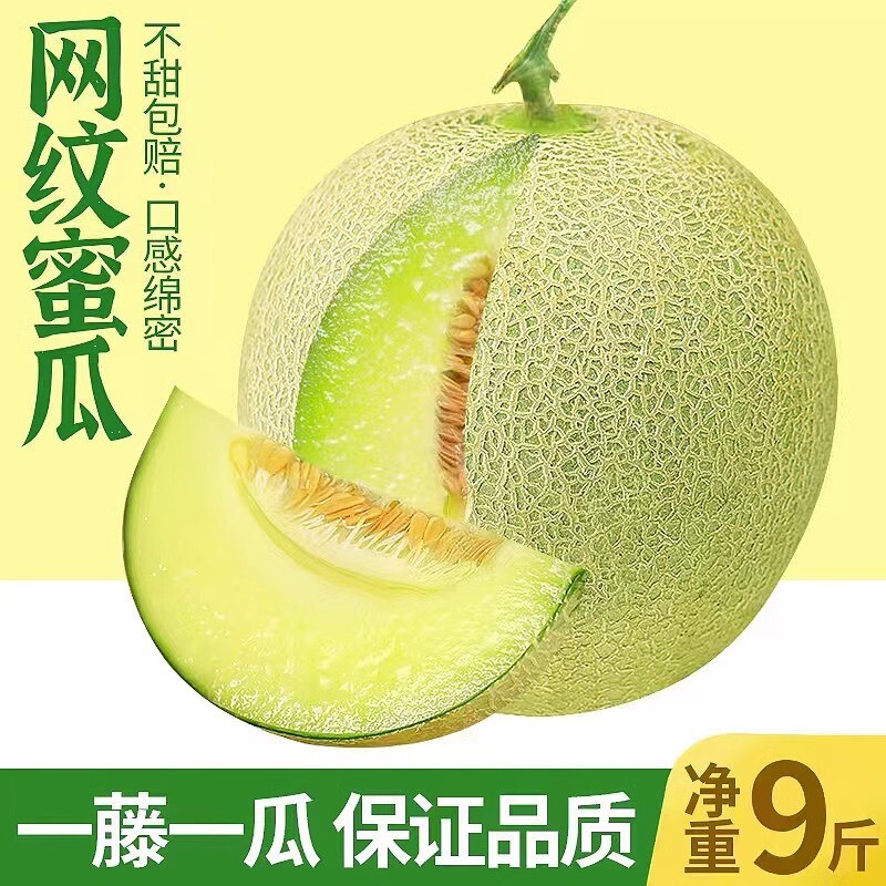 【现摘现发】正宗玫珑蜜瓜/枚装 一藤一瓜当季新鲜水果网纹甜瓜
