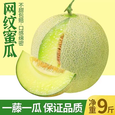 【现摘现发】正宗玫珑蜜瓜/枚装 一藤一瓜当季新鲜水果网纹甜瓜