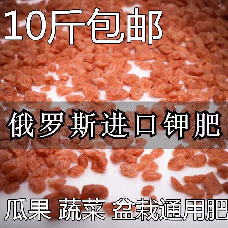 进口钾肥俄罗斯氯化钾红钾叶面肥保花促果蔬水溶肥钾肥调水通用型高性价比高么？