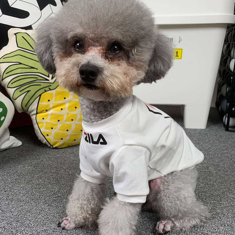 猫咪比熊狗狗衣服防掉毛小型犬图片