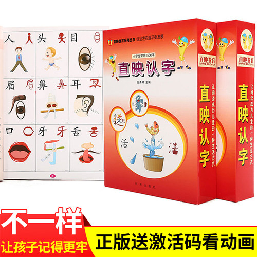 直映认字儿童幼儿园象形图识字