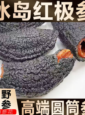 进口原货淡干加拿大冰岛海参