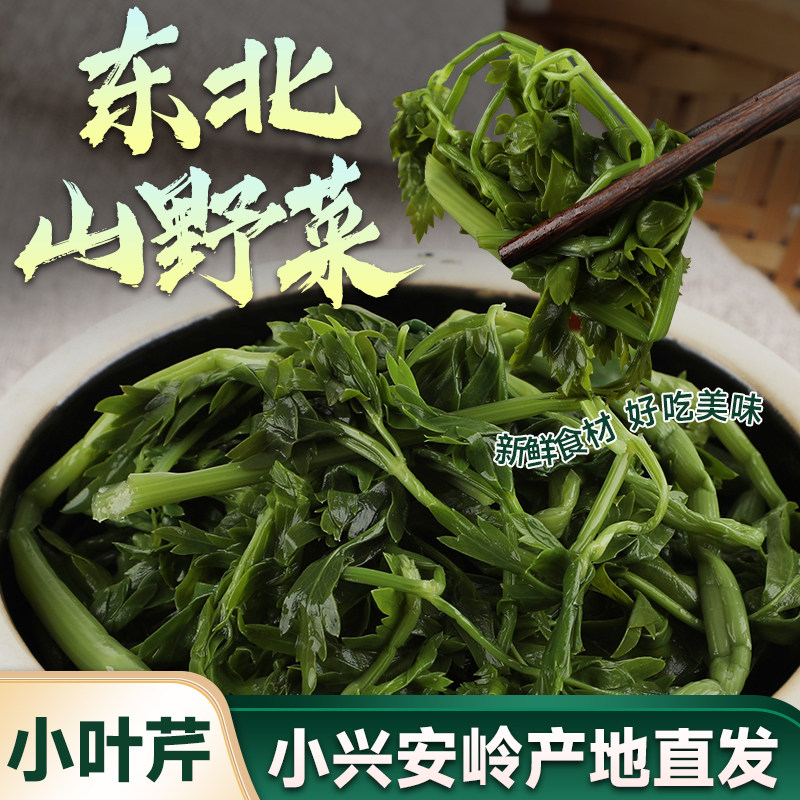 东北小叶芹宋氏森源山野菜图片
