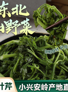 东北小叶芹宋氏森源山野菜