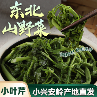 东北特产山野菜宋氏森源小叶芹羊角芹山胡萝卜缨蒿大叶芹袋装