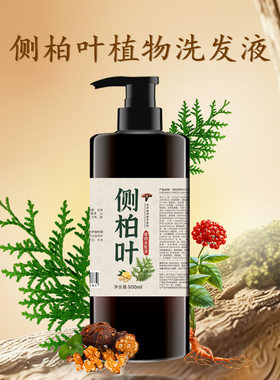 侧柏叶洗发水乌发稳发植物养发生姜控油去屑止痒草本洗发水500ml