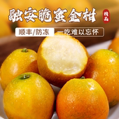 正宗广西融安脆蜜金桔第三代金柑现摘新鲜水果甜桔子礼盒插孔包装