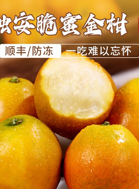 正宗广西融安脆蜜金柑第三代金桔现摘新鲜纯甜水果礼盒插孔包装