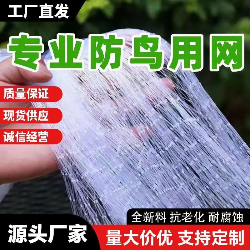 果园大棚加粗尼龙网果树稻谷樱桃葡萄梨树草莓防鸟网鱼塘养殖天网