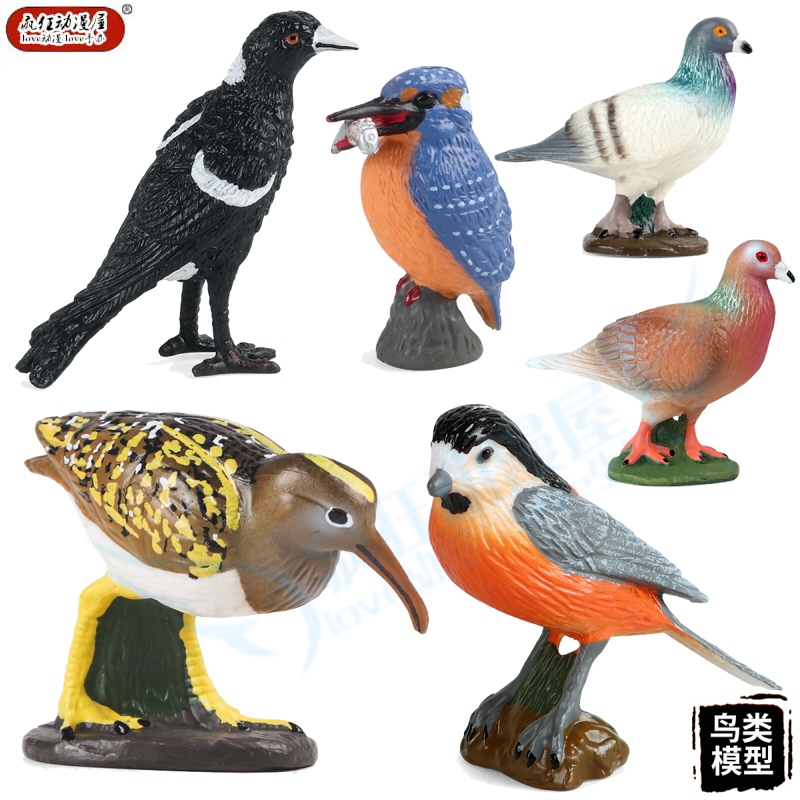 仿真鸟类动物模型鸽子喜鹊彩鹬