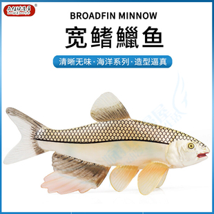 仿真海洋动物模型宽鳍鱲鱼桃花鱼秋刀鱼儿童认知玩具鱼缸场景摆件