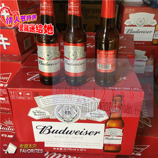 Budweiser百威啤酒275ml*24瓶夜场KTV酒吧款商务婚宴聚餐小玻璃瓶