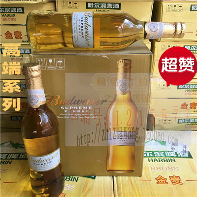 百威500ml12瓶商务小麦啤酒