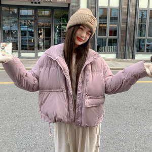 现货立领加厚羽绒服女新标90白鸭绒282-2311-P205-K315图片