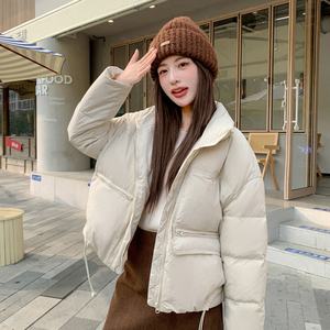 现货立领加厚羽绒服女新标90白鸭绒282-2311-P205-K315,蓝白毛衣搭配棉服图片