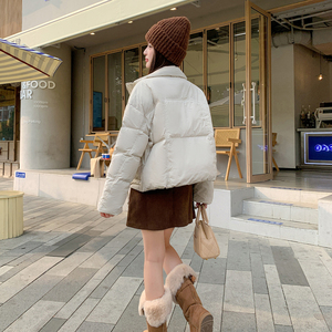 现货立领加厚羽绒服女新标90白鸭绒282-2311-P205-K315图片