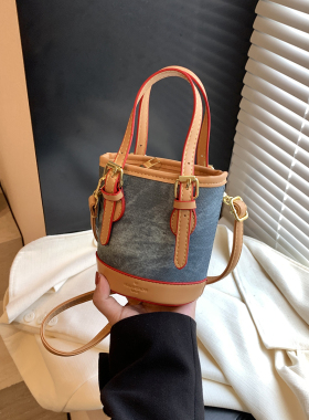 迷你流行小众设计包包2024新款女休闲百搭帆布包斜挎包手提水桶包