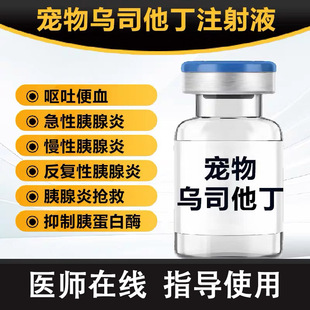 犬胰腺炎猫胰腺炎乳糜胸胰肽康奥曲肽乌司他丁注射液急慢性胰腺炎