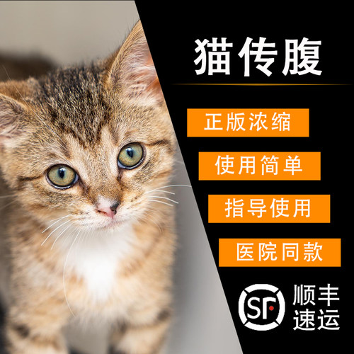 猫传腹fipv治疗猫传染性腹膜炎