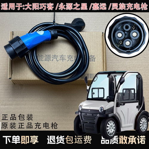 原装大阳巧客/永源之星电动车充电枪原随车充便携式16A家用充电器