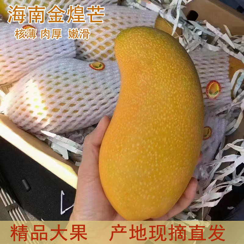 顺丰岱儒海南金煌芒果特大礼盒装