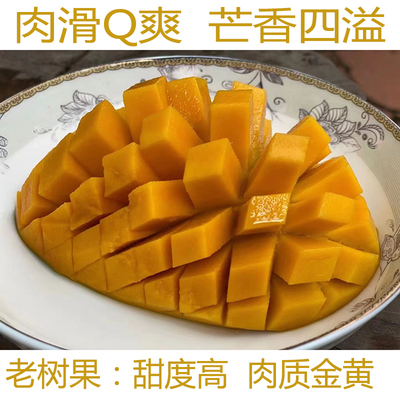 岱儒特级海南青皮澳芒肉厚香浓