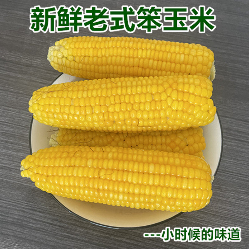 新鲜老式笨玉米老玉米苞米棒黄玉米非甜非糯现摘带皮生老玉米5斤