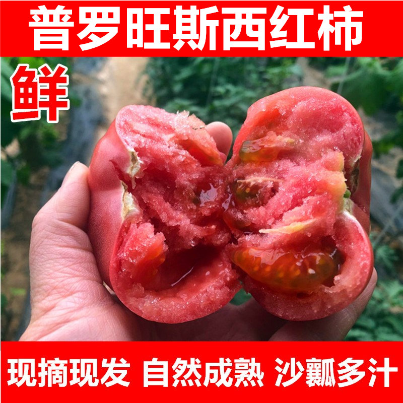 山东普罗旺斯水果当季沙瓤西红柿自然熟新鲜生吃番茄蔬菜3-5斤装 水产肉类/新鲜蔬果/熟食 番茄 原图主图