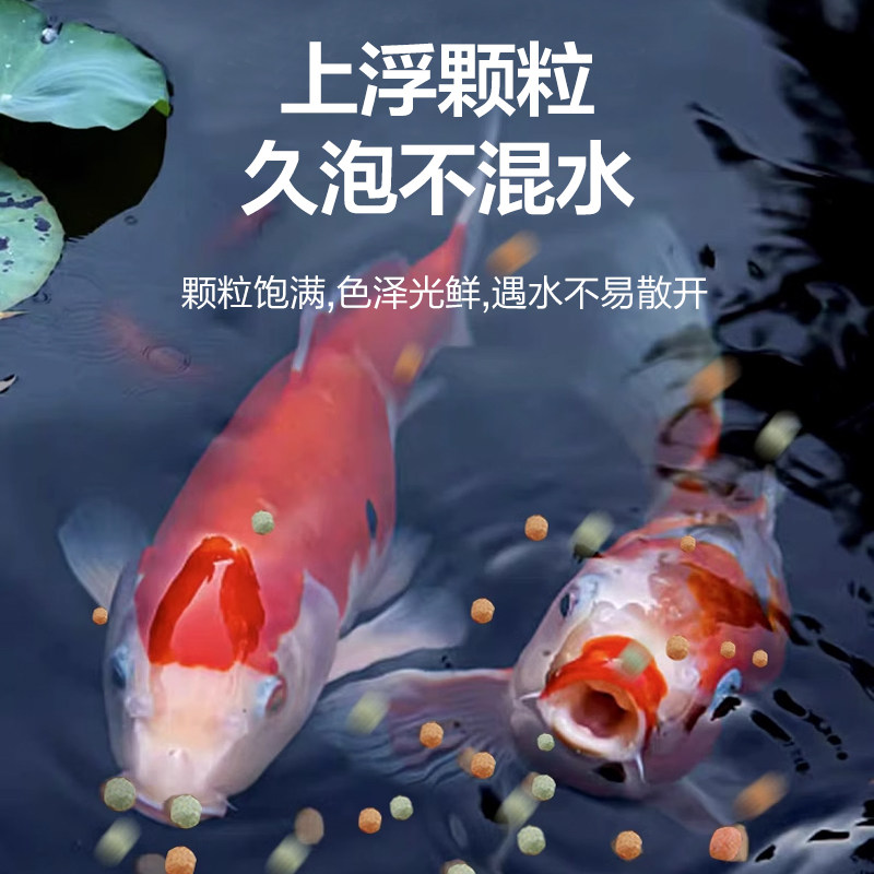 饵料鱼粮金鱼饲料观赏鱼锦鲤鱼食增色鱼粮大中小颗粒不浑水鱼食物