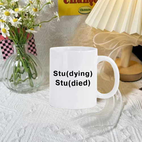 Studying Studied 学习状态学术人研究生PHD 陶瓷马克杯水杯杯子