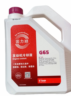 德国巴斯夫防冻液固力顺G65新大众斯柯达奥迪宾利冷却液原厂配套