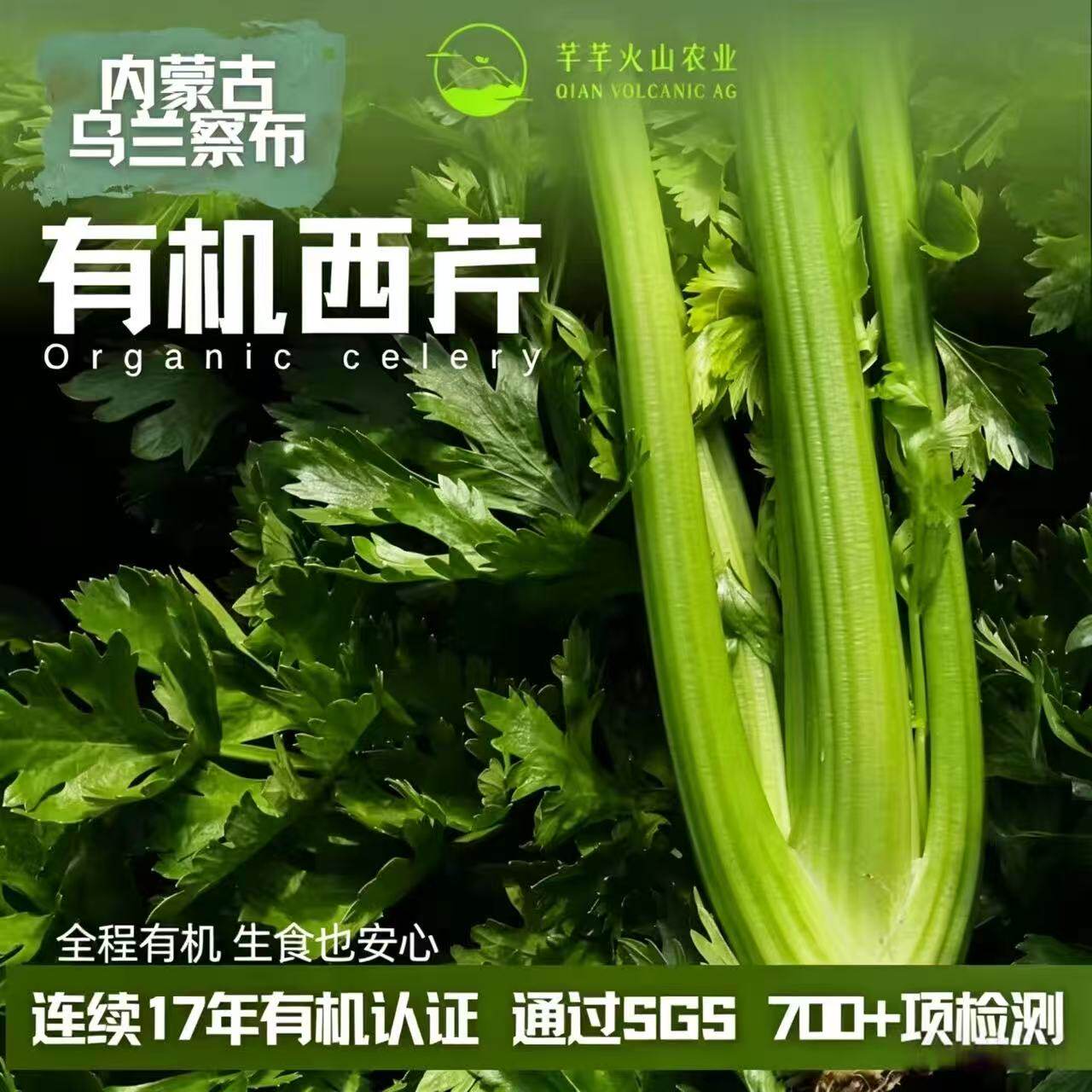 【顺丰包邮】内蒙古乌兰察布有机水果西芹羊粪种植新鲜可榨汁生吃