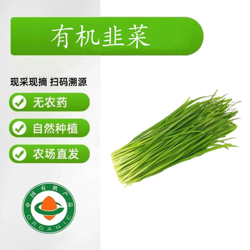 有机韭菜新鲜采摘山东