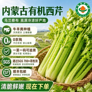 【顺丰包邮】内蒙古1.5kg有机天然肥沃盒装乌兰察布西芹生鲜叶菜