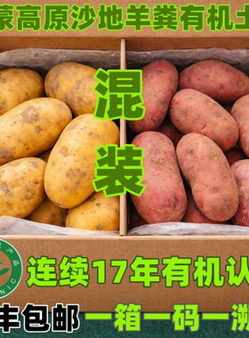 内蒙古乌兰察布有机红皮黄皮混装羊粪土豆有机马铃薯洋芋
