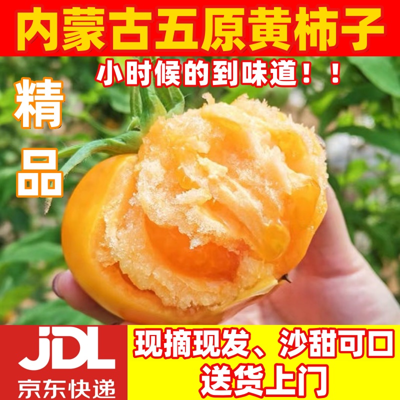 内蒙古五原黄柿子小时候的味道