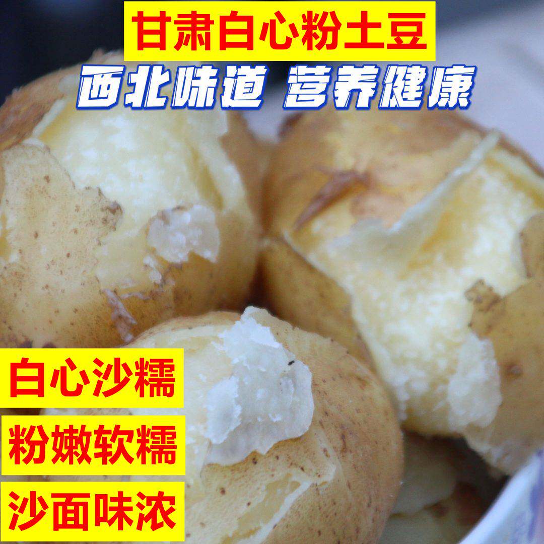 甘肃定西特产正宗老品种白心土豆粉糯农家自种沙地洋芋马铃薯蔬菜