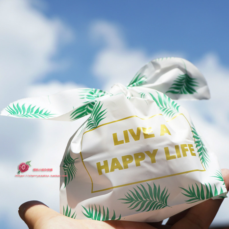 包邮ins简约文艺小袋子糖果礼物包装袋生日零食礼品收纳袋50个