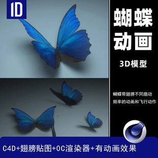 C4D蝴蝶飞舞飞行动画工程设计参考三维模型素材（2款）