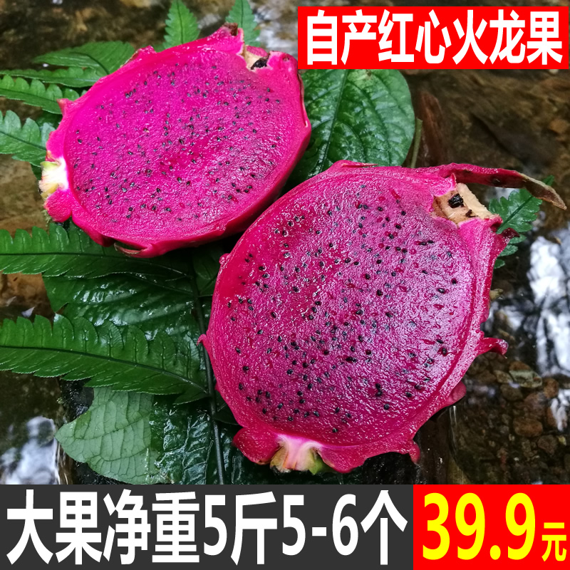 红心新鲜现摘5斤包邮火龙果券后39.90元